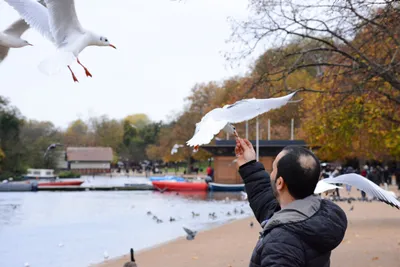 DSC_0659 (Large).JPG